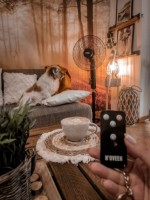 Ventilator Noveen Standing Fan F455 imaginea #3 — magazin online Desire.md