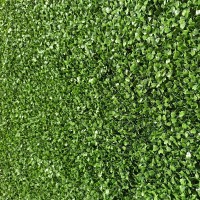 Gard artificial Tenax Boxwood 17211 100x100  imaginea #1 — magazin online Desire.md