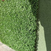 Gard artificial Tenax Boxwood 17211 100x100  imaginea #2 — magazin online Desire.md