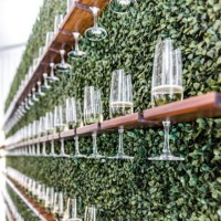 Gard artificial Tenax Boxwood 17211 100x100  imaginea #3 — magazin online Desire.md