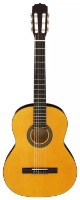 Классическая гитара Fiesta FST-200 4/4 Natural + husa