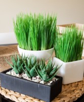 Floare decorativă Casa Masa 10x23cm (8900305300) imaginea #2 — magazin online Desire.md