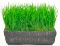 Floare decorativă Casa Masa 20x23cm (8900302300)