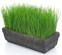 Floare decorativă Casa Masa 20x23cm (8900302300) imaginea #2 — magazin online Desire.md