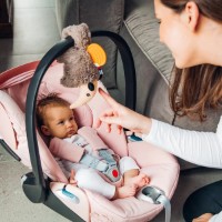 Jucărie pentru pătuturi si carucioare BabyOno Anteater Allan - Edgard (1415) imaginea #7 — magazin online Desire.md