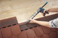 Pistol pentru sealant Wolfcraft 4356000 imaginea #4 — magazin online Desire.md