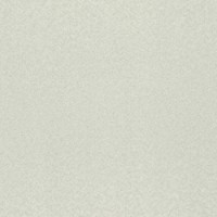 Обои Rasch 975338 Tendencia