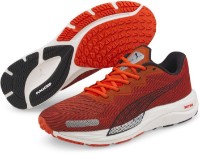 Кроссовки мужские Puma Velocity Nitro 2 Cherry Tomato/Puma Black 44.5 фото №1 — интернет-магазин Desire.md