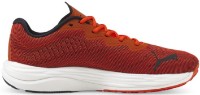 Кроссовки мужские Puma Velocity Nitro 2 Cherry Tomato/Puma Black 45 фото №3 — интернет-магазин Desire.md