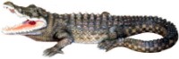 Figurina gradina Figuren Discounter Crocodile (3672)