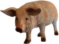 Figurina gradina Figuren Discounter Pig (z2164)