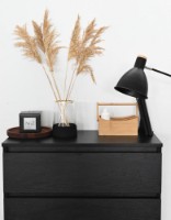 Comodă Fabrik Home Havana 5 Frasină Neagră imaginea #3 — magazin online Desire.md