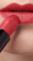 Помада для губ Artdeco Perfect Mat Lipstick 116 фото №2 — интернет-магазин Desire.md