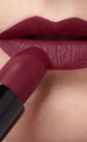 Помада для губ Artdeco Perfect Mat Lipstick 134 фото №2 — интернет-магазин Desire.md