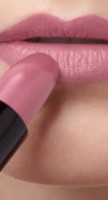 Помада для губ Artdeco Perfect Mat Lipstick 160 фото №2 — интернет-магазин Desire.md