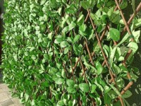 Gard artificial Tenax Willow-Rose