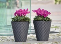 Цветочный горшок Form Plastic Rattana (3800-014) фото №2 — интернет-магазин Desire.md