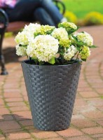 Цветочный горшок Form Plastic Rattana (3800-014) фото №3 — интернет-магазин Desire.md