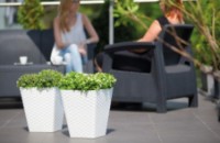 Ghiveci Form Plastic Rattana (3880-011) imaginea #3 — magazin online Desire.md