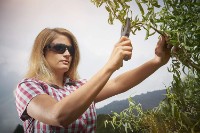 Ochelari de protecție Wolfcraft 4905000 imaginea #3 — magazin online Desire.md