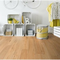 Acoperire vinil Gerflor Creation 30 Ballerina 0347 imaginea #2 — magazin online Desire.md