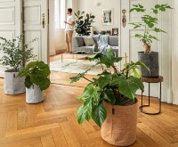 Ghiveci Lechuza Trendcover Color 32 Cork Light Natural imaginea #3 — magazin online Desire.md