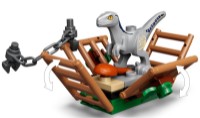 Set de construcție Lego Jurassic World: Blue & Beta Velociraptor Capture (76946) imaginea #6 — magazin online Desire.md