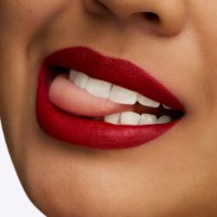 Помада для губ MAC Retro Matte Lipstick Ruby Woo фото №3 — интернет-магазин Desire.md