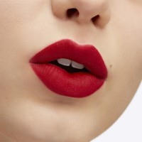 Помада для губ MAC Retro Matte Liquid Lipstick Carnivorous фото №3 — интернет-магазин Desire.md
