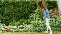 Motocoasă electrică Bosch EasyGrassCut 26 (06008C1J01) imaginea #2 — magazin online Desire.md