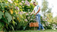 Motocoasă electrică Bosch EasyGrassCut 26 (06008C1J01) imaginea #4 — magazin online Desire.md