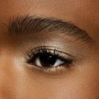 Fard de pleoape MAC Eye Shadow Retrospeck imaginea #3 — magazin online Desire.md