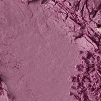 Fard de pleoape MAC Eye Shadow Trax imaginea #2 — magazin online Desire.md