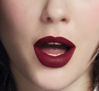 Помада для губ Bourjois Rouge Velvet The Lipstick 11 фото №3 — интернет-магазин Desire.md