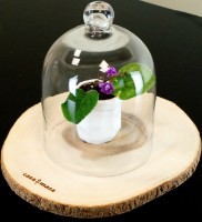 Cupolă de sticlă Casa Masa 14x19cm (BV827-4) imaginea #2 — magazin online Desire.md