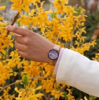 Наручные часы Anne Klein AK/1362PRGB фото №2 — интернет-магазин Desire.md