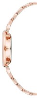 Наручные часы Anne Klein AK/2158GYRG фото №2 — интернет-магазин Desire.md