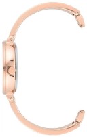 Наручные часы Anne Klein AK/3620WTST фото №2 — интернет-магазин Desire.md