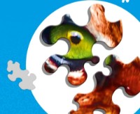 Пазл Trefl 600 Crazy Shapes (1110) фото №3 — интернет-магазин Desire.md