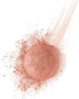 Румяна для лица Bourjois Blush 03 фото №2 — интернет-магазин Desire.md