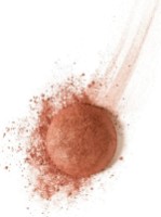 Blush pentru față Bourjois Blush 10 imaginea #2 — magazin online Desire.md