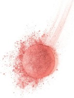 Румяна для лица Bourjois Blush 16 фото №2 — интернет-магазин Desire.md