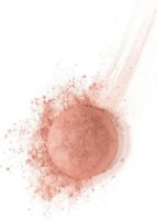 Румяна для лица Bourjois Blush 32 фото №2 — интернет-магазин Desire.md