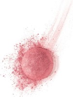 Blush pentru față Bourjois Blush 95 imaginea #2 — magazin online Desire.md