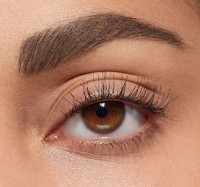 Тушь для бровей Bourjois Brow Fiber Oh Oui 001 Blond фото №3 — интернет-магазин Desire.md
