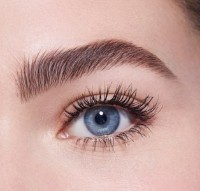 Rimel pentru sprâncene Bourjois Brow Fiber Oh Oui 002 Chestnut imaginea #3 — magazin online Desire.md