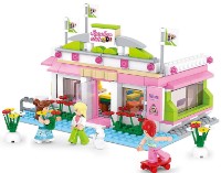 Конструктор Sluban Girl Is Dream (R-B0527) фото №6 — интернет-магазин Desire.md