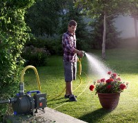 Садовый насос Blue Clean ARGP600P фото №2 — интернет-магазин Desire.md