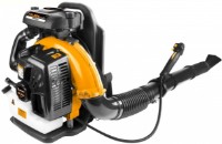 Воздуходувка Tolsen 79629 фото №1 — интернет-магазин Desire.md