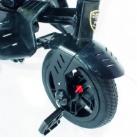 Bicicletă copii VL (TR - 319) imaginea #9 — magazin online Desire.md